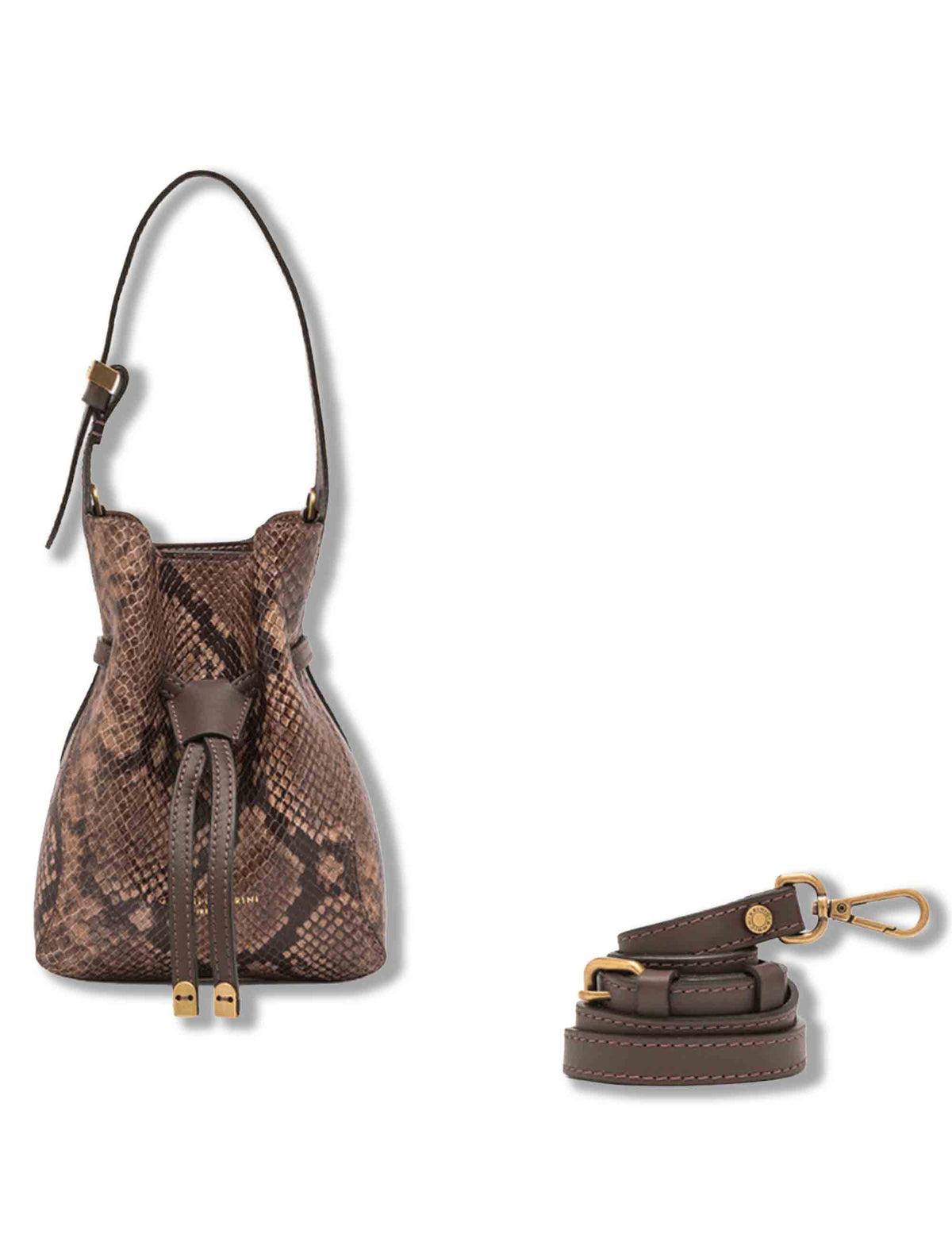 Borsa Sienna piccola donna in pelle stampa pitone cuoio con dettagli metallici e tracolla BS12595 PTY_206 Gianni Chiarini 