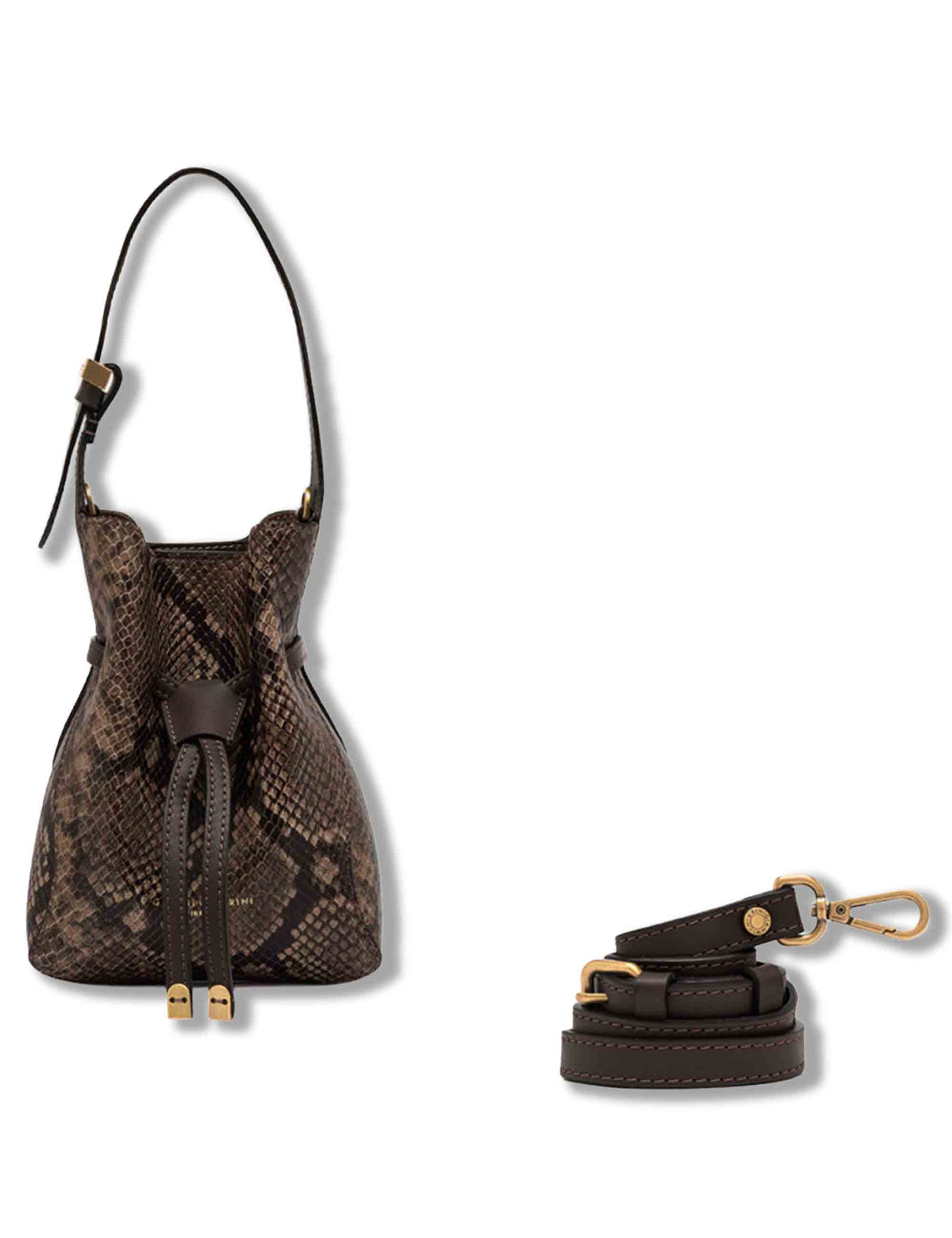 Borsa Sienna piccola donna in pelle stampa pitone marrone con dettagli metallici e tracolla BS12595 PTY_2107 Gianni Chiarini 
