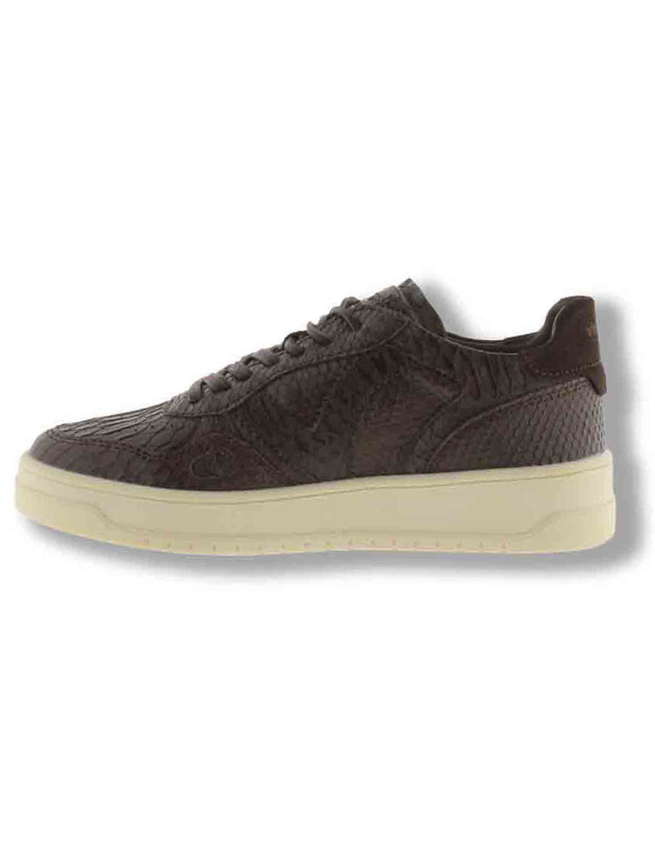 Sneakers donna Seul marrone effetto serpente con inserto camoscio in tinta 1257150 70 Marron Victoria 