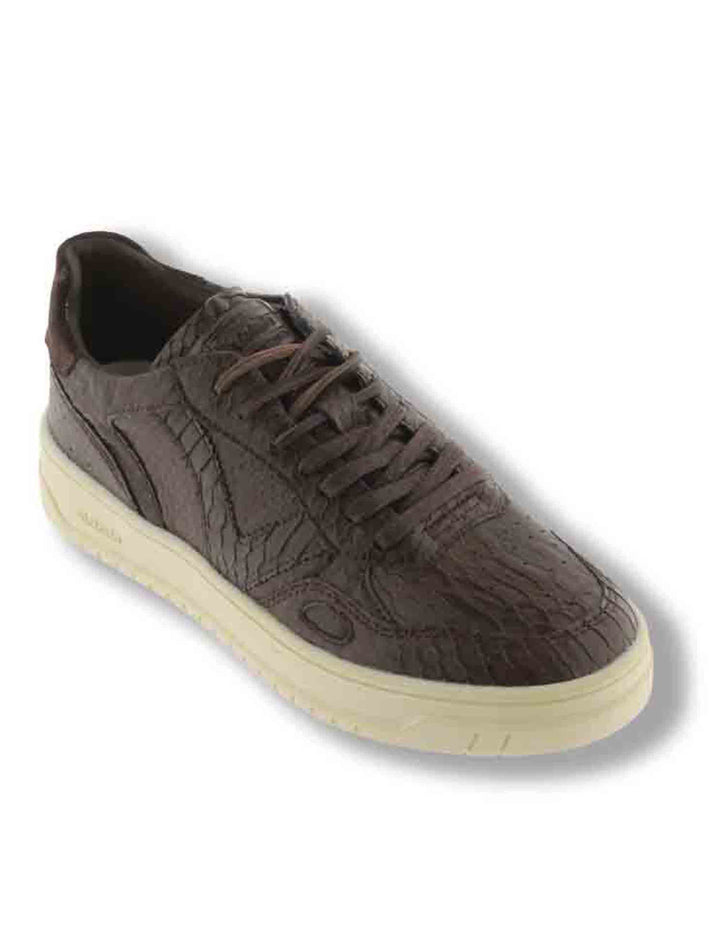 Sneakers donna Seul marrone effetto serpente con inserto camoscio in tinta 1257150 70 Marron Victoria 