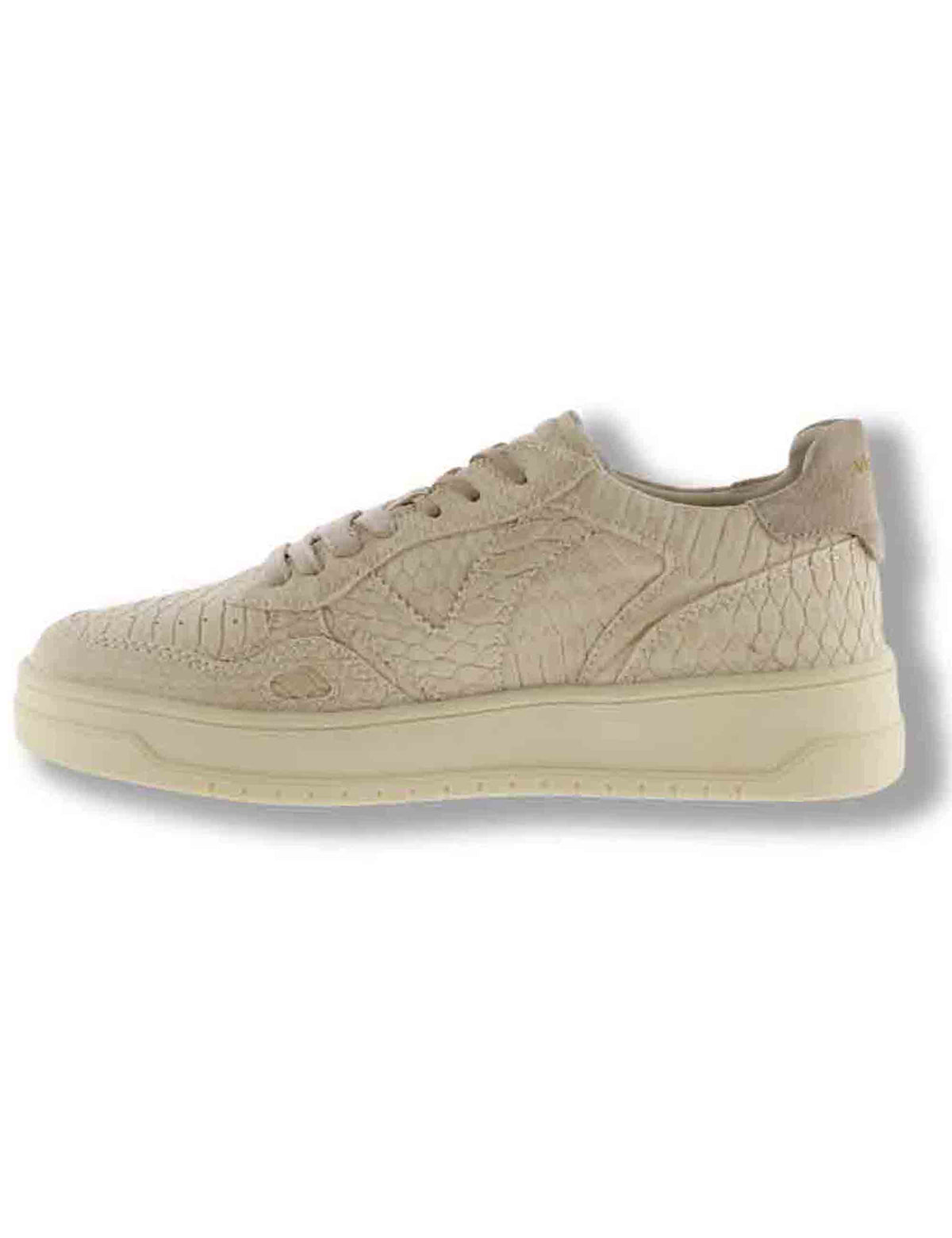 Sneakers donna Seul beige effetto serpente con inserto camoscio in tinta 1257150 80 Beige Victoria 