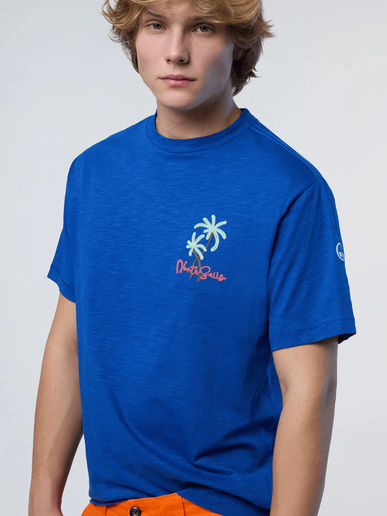 T-shirt uomo in cotone blu 692985-0790