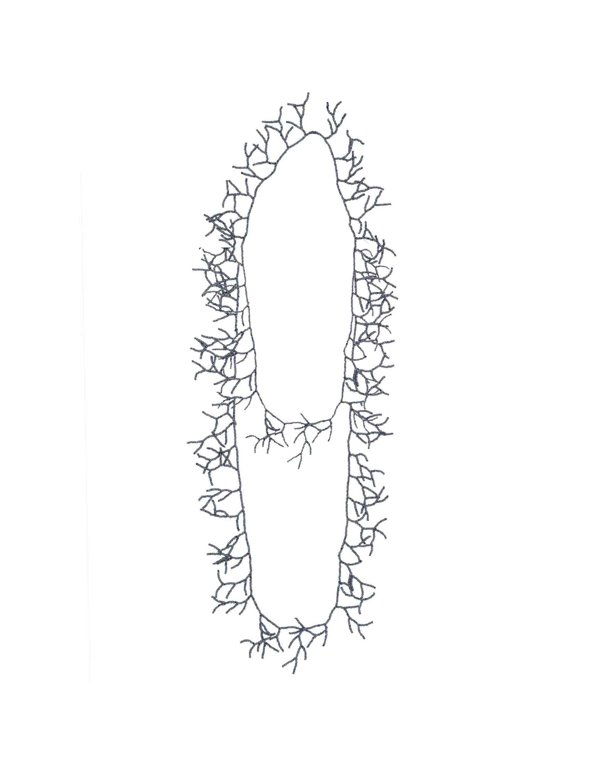  JACBJ0001-K420-1272 100000 Justmine 