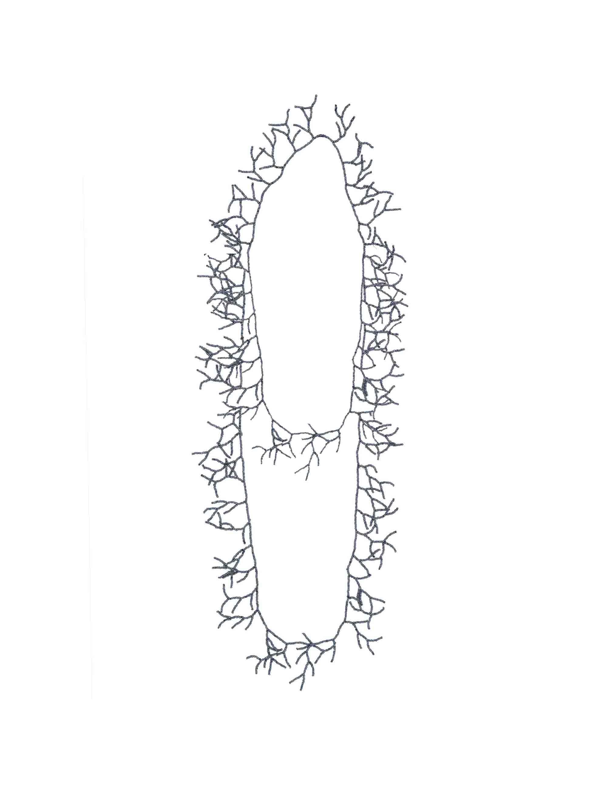  JACBJ0001-K420-1272 100000 Justmine 