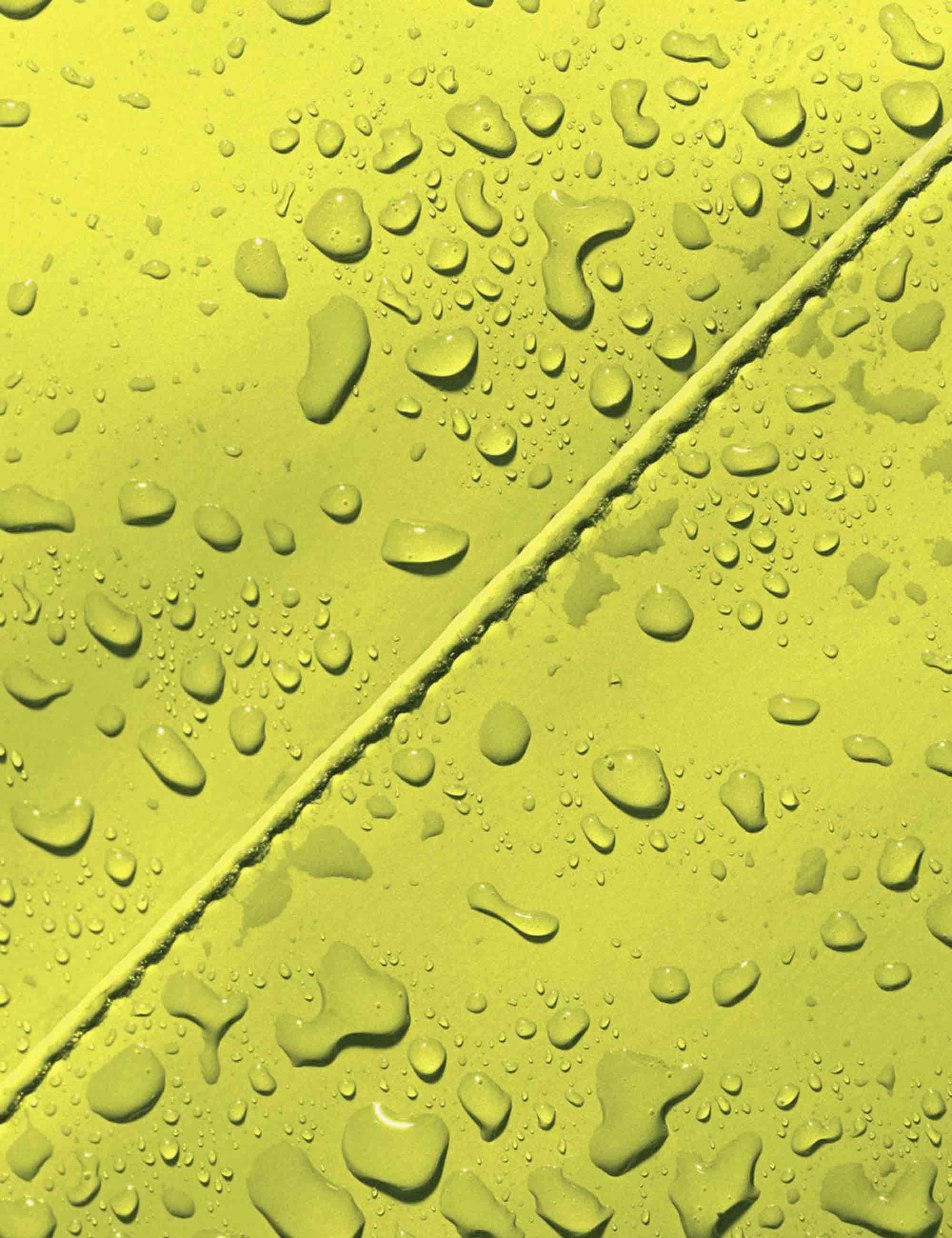 Borse donna Eliza Lotus in pvc lime 102410LT43024 ACID LIME Ucon Acrobatics 