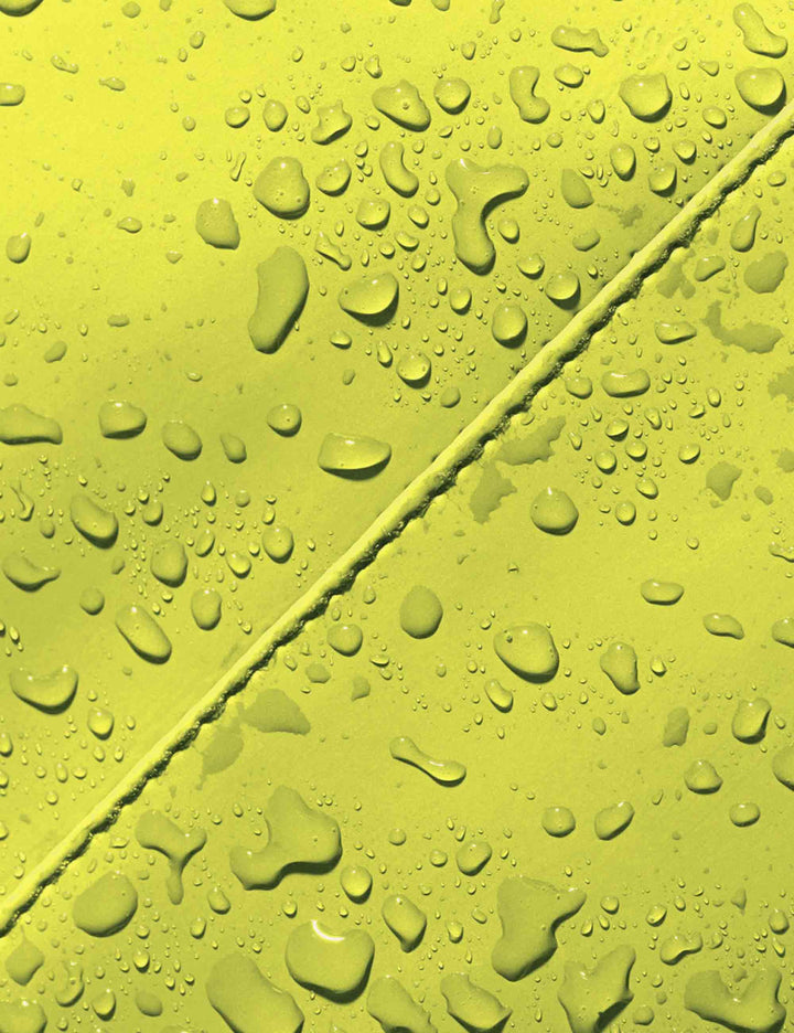 Borse donna Eliza Lotus in pvc lime 102410LT43024 ACID LIME Ucon Acrobatics 